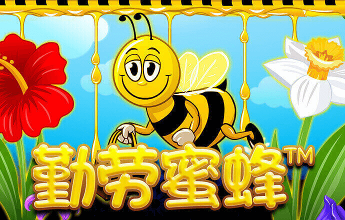 华体体育官网入口